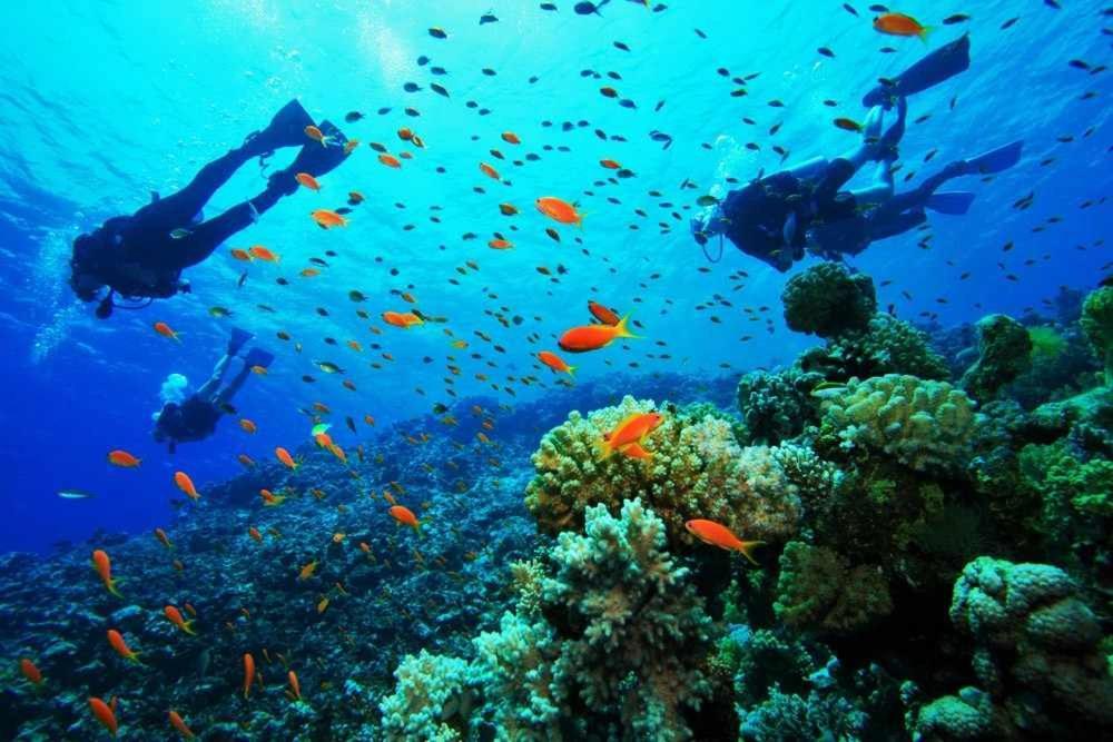 فيلا Casa Del Mar بوكاس تاون المظهر الخارجي الصورة